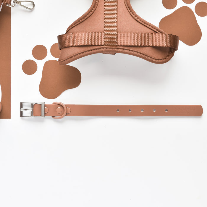 Tan adjustable collar, harness, and leash with brown paw prints on a white background.