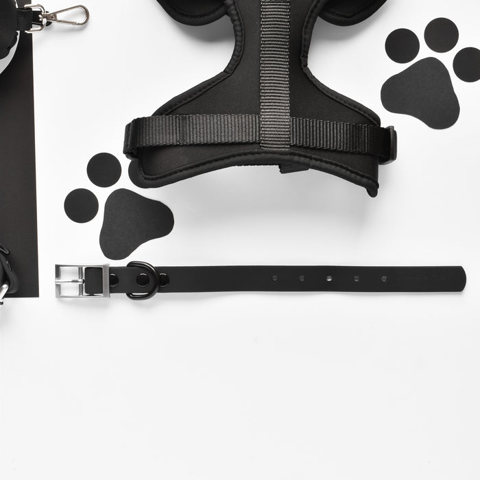 Black NAKD Collar and harness by Cocopup London in a flat lay with paw prints on a white background.