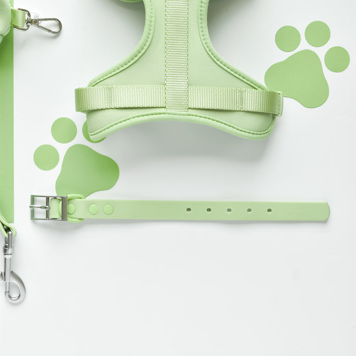 Matcha green adjustable waterproof dog collar set with paw print pattern, matching harness and leash.