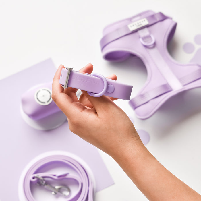 Hand holding a lavender NAKD dog collar with matching leash and harness, all on a white background.