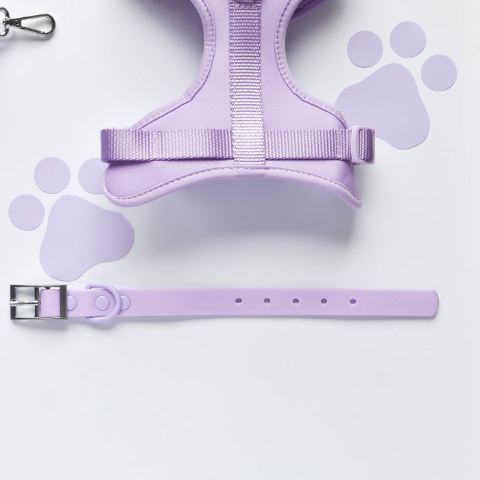 Adjustable lavender dog collar with white band and purple paw print pattern.