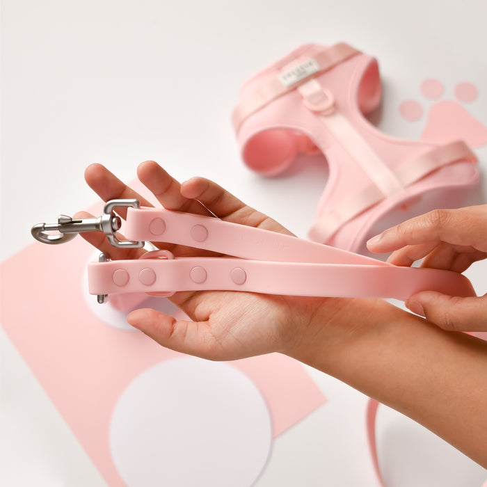 Hand holds pink Cocopup London NAKD dog lead and matching harness; paw print visible in background.