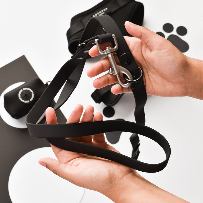 Hands hold a black Cocopup London dog leash with paw print designs visible in the background.