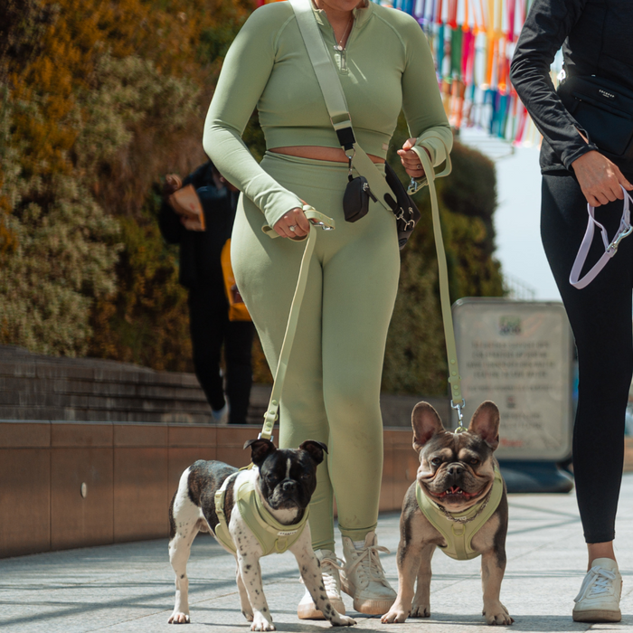 Two people walk small dogs; one holds a green Cocopup London NAKD Lead, the other a plain black lead.