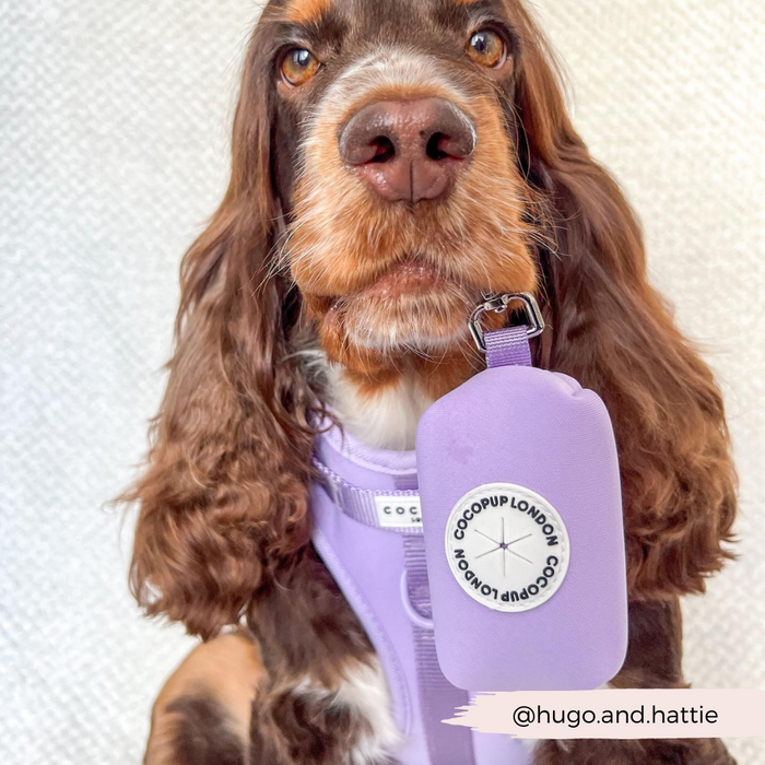 Brown and white dog wearing a purple harness with a lavender Cocopup London NAKD Poop Bag Holder attached.