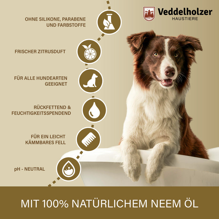 Braun-weißer Border Collie in der Badewanne; Vorteile: ohne Silikone und Parabene, Zitrusduft, rückfettend, pH-neutral
