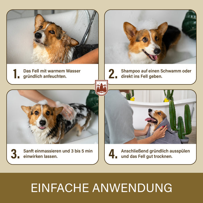 Vier Schritte: Fell anfeuchten, Shampoo auftragen, einmassieren und 3 bis 5 Minuten einwirken lassen, ausspülen und trocknen
