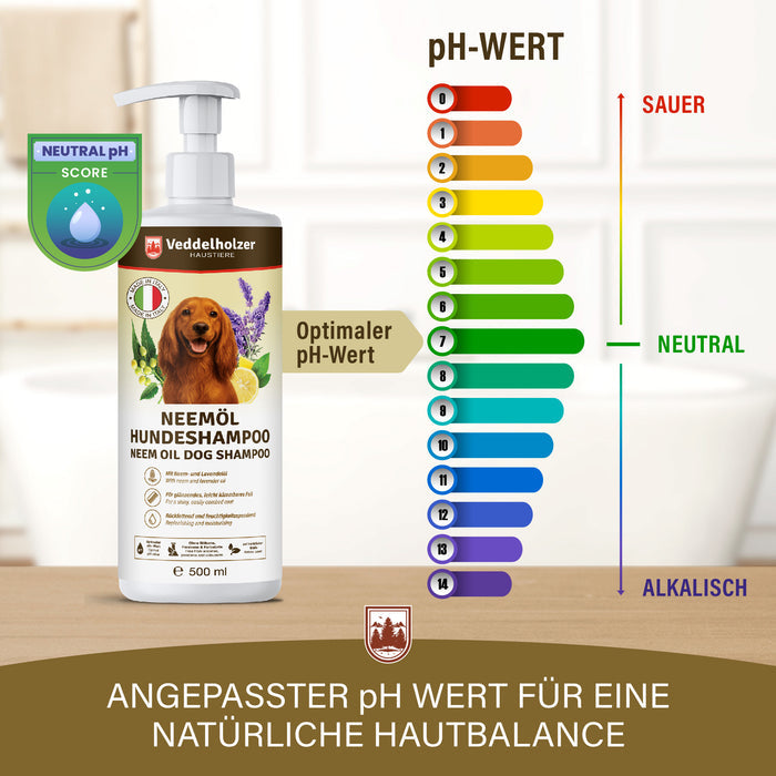 pH-Skala von 0 sauer bis 14 alkalisch, Pfeil auf den optimalen Wert 7 neutral, daneben die 500-ml-Shampooflasche