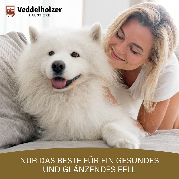 Blonde Frau schmiegt sich auf dem Bett an einen weißen Samojeden – Bildtext „Nur das Beste für ein glänzendes Fell“