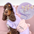 Brown dog in a green Cocopup London Nessie the Dino drying robe, with a close-up of the robe shown in an inset.