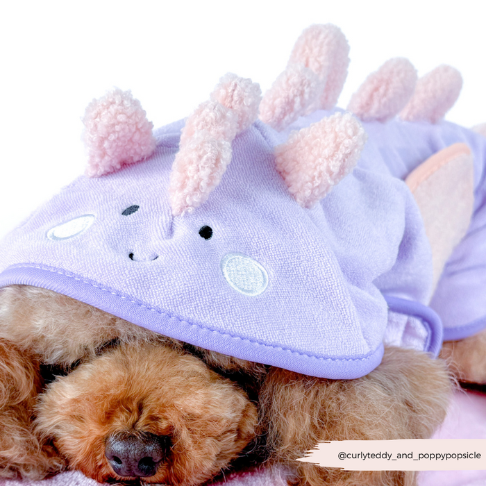 Brown poodle wearing a purple Cocopup London drying robe with soft dinosaur-style spikes.