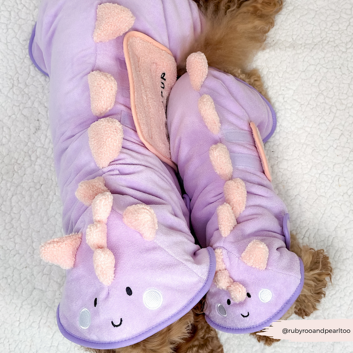 Two dogs in matching green Cocopup London drying robes with pink dino spikes and hoods featuring smiling faces.