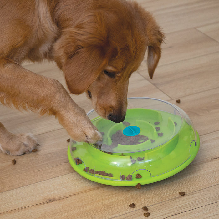 Golden retriever pawing at the Wobble Bowl slow feeder on a wooden floor