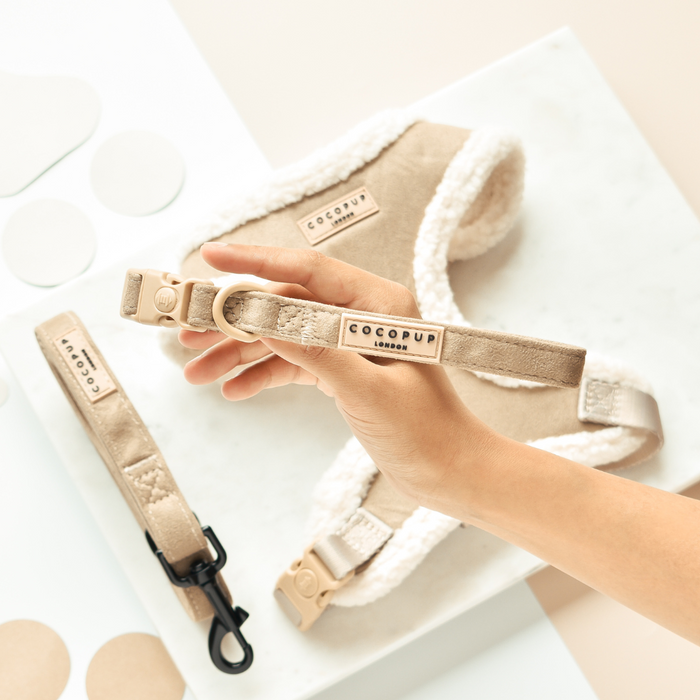 Hand holding nude-colored Cocopup London collar, harness, and leash set against a light background.