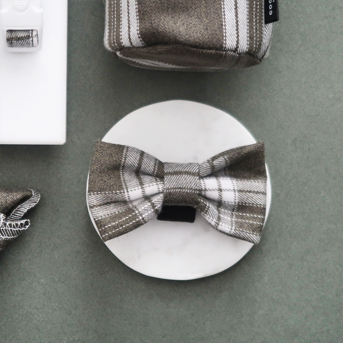 Olive green check bow tie on a round plate with a matching patterned dog accessory beside it.
