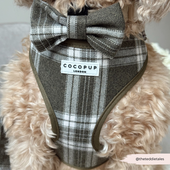 Fluffy dog wearing an olive check bow tie and brown plaid harness from Cocopup London.