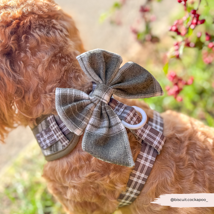 Brown dog wearing Cocopup Londons olive check sailor bow tie with large matching bow, outside near green plants.