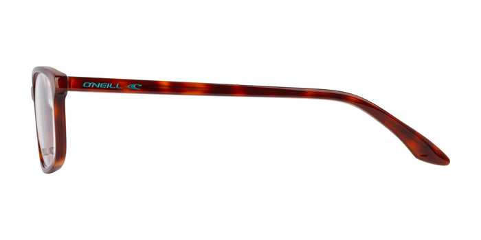 #colour_tortoise