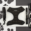 Black quilted harness, lead, and collar set displayed on a white board with a paw print pattern background.