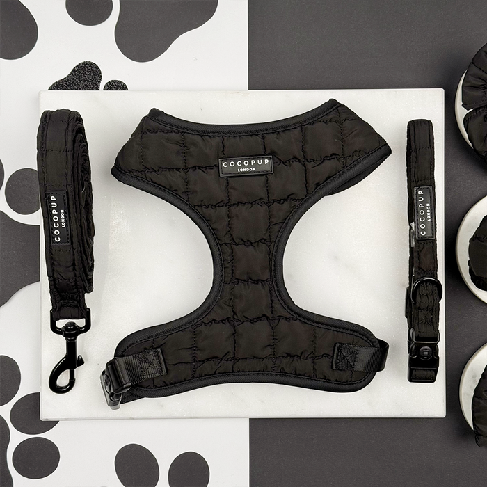Black quilted harness, lead, and collar set displayed on a white board with a paw print pattern background.