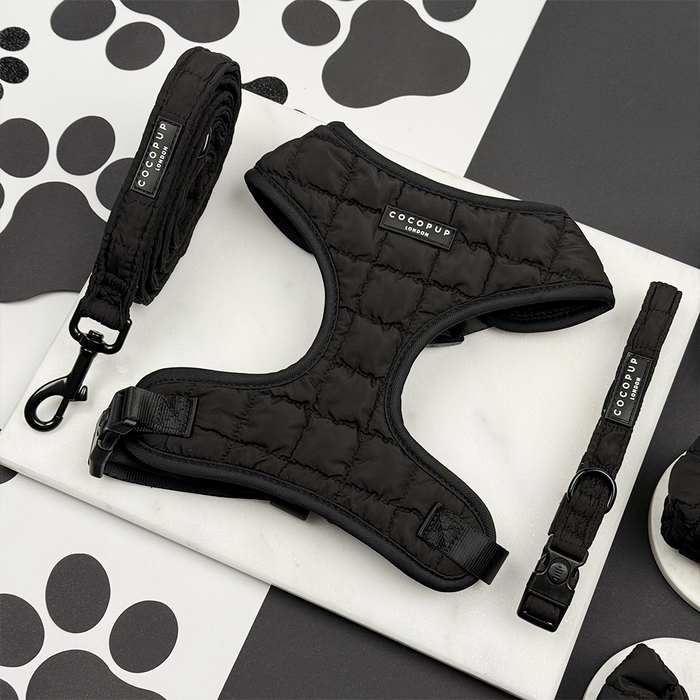 Black quilted dog harness, matching lead and collar set with metal hardware from Cocopup London.