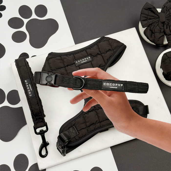 Black quilted adjustable neck harness with matching lead and collar set, featuring silver hardware.
