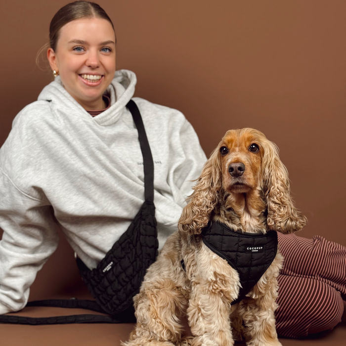 Cocker spaniel wearing a black quilted harness with adjustable neck, sitting next to a smiling woman in a hoodie.