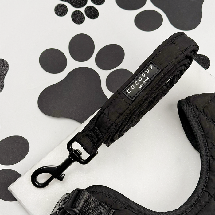 Black quilted Cocopup London dog lead for small breeds, displayed on a white background with black paw prints.