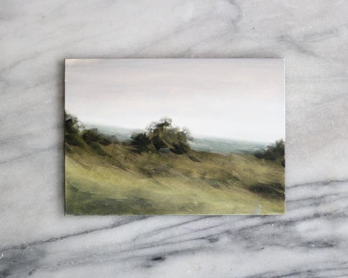 Overcast | 5x7