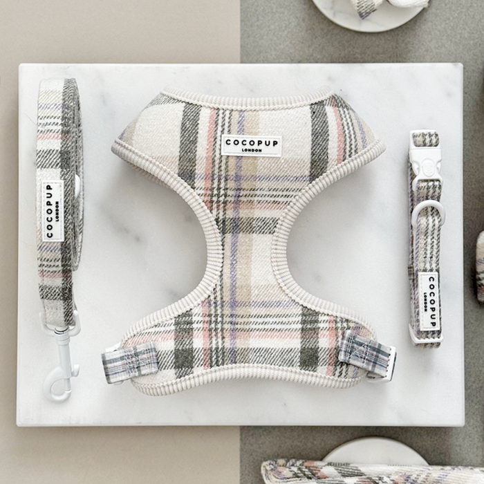 Cocopup London plaid dog harness, lead, and collar set in blue and white Oxford pattern on a marble surface.