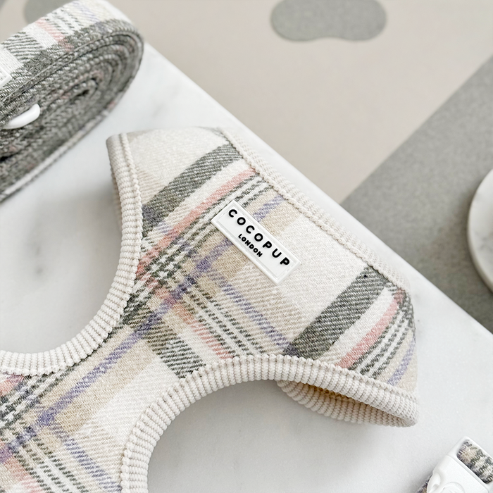 Oxford plaid harness, lead, and collar set with brown and white check pattern on a white marble surface.