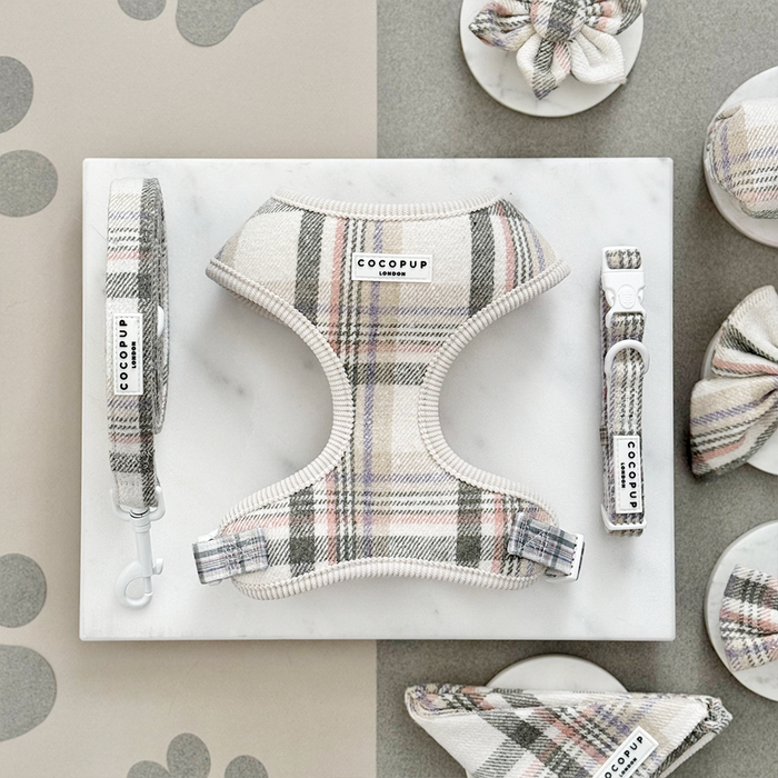 Oxford plaid harness, lead, and collar set with brown and navy check pattern on marble surface with paw print designs.