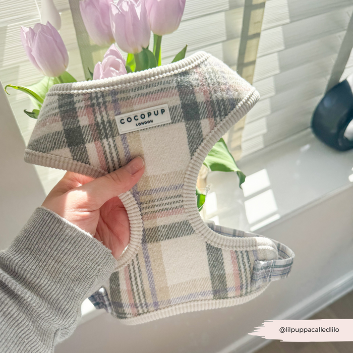 Hand holds an Oxford plaid dog harness, lead, and collar set by Cocopup London near purple tulips on a windowsill.