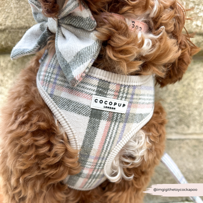 Curly-haired dog in a Cocopup London harness, lead, and collar with an Oxford plaid pattern.