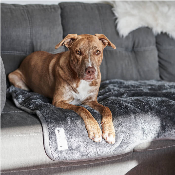 Pawtect® Blanket Plus