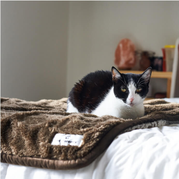 Pawtect® Blanket Plus