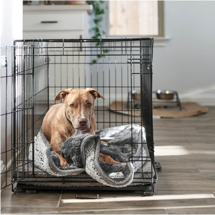 Pawtect® Blanket Plus