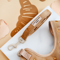 Beige dog leash with gold hardware, displayed on a white background with tan and brown paper shapes.