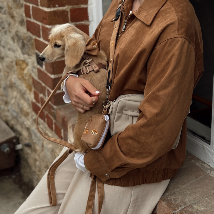 Person in a brown jacket holds a small tan dog with a tan Cocopup London Pawtisserie Lead by a brick wall.