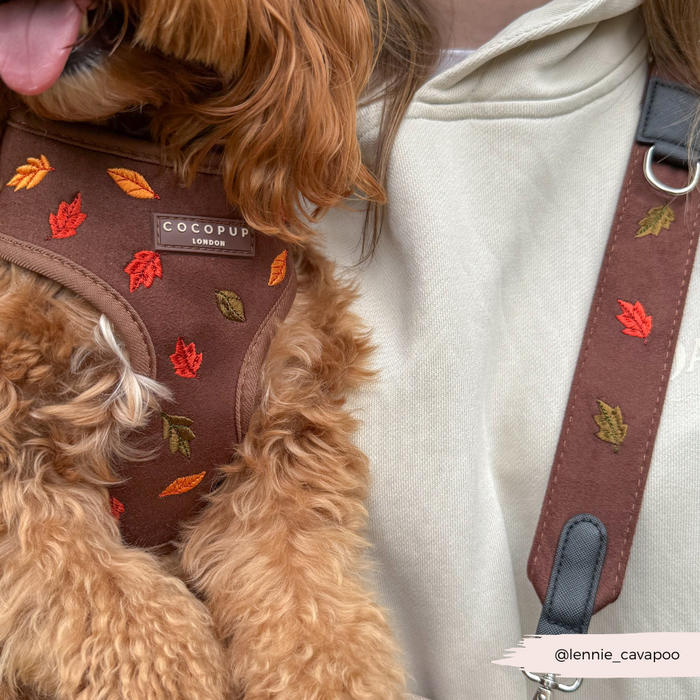 Dog with Cocopup London Pawtumn Leaves walking bag sits next to person wearing a cream hoodie.