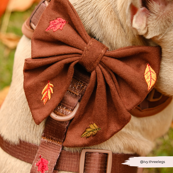 Pawtumn Leaves Sailor Bow Tie by Cocopup London with autumn leaf pattern, attached to a dog’s harness.