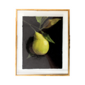 Pear Study 4 | 8x10