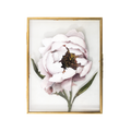 Peony in Glass | 7x9
