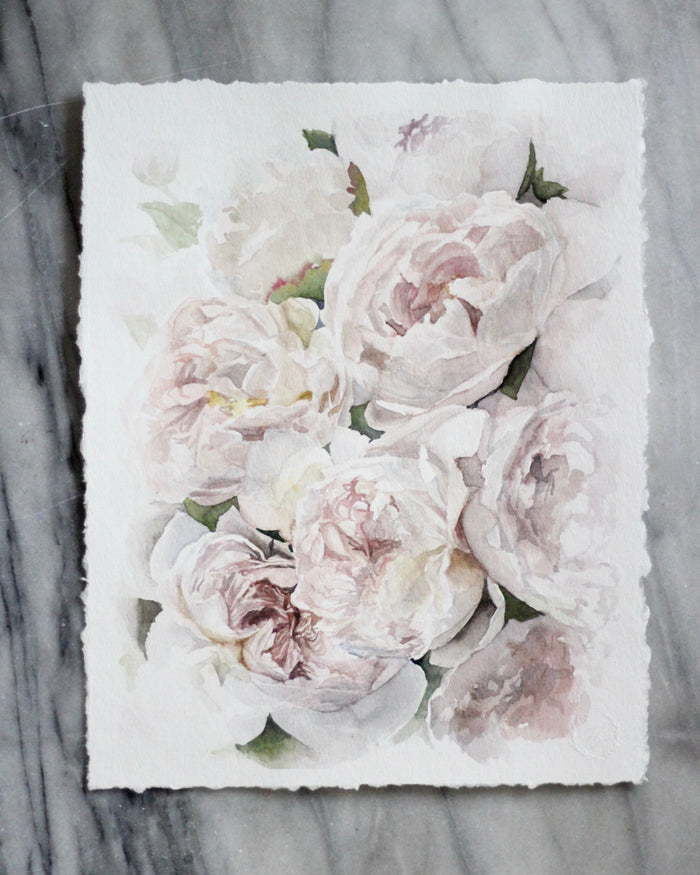 Peony no. 13 | 11x14