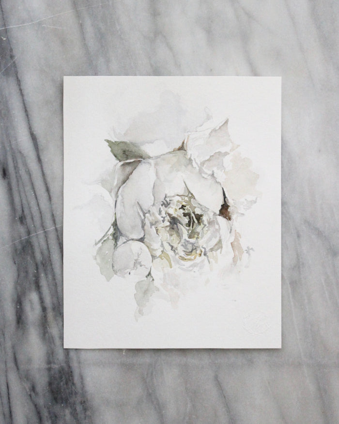 Peony no. 2 | 8x10