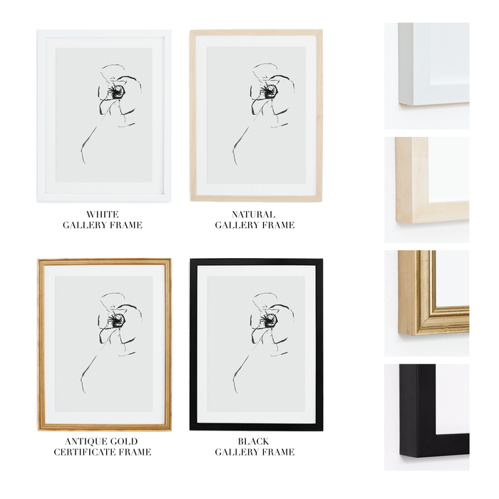 Peony no. 2 | 8x10
