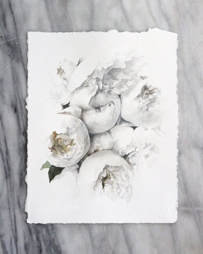 Peony no. 5 | 11x14