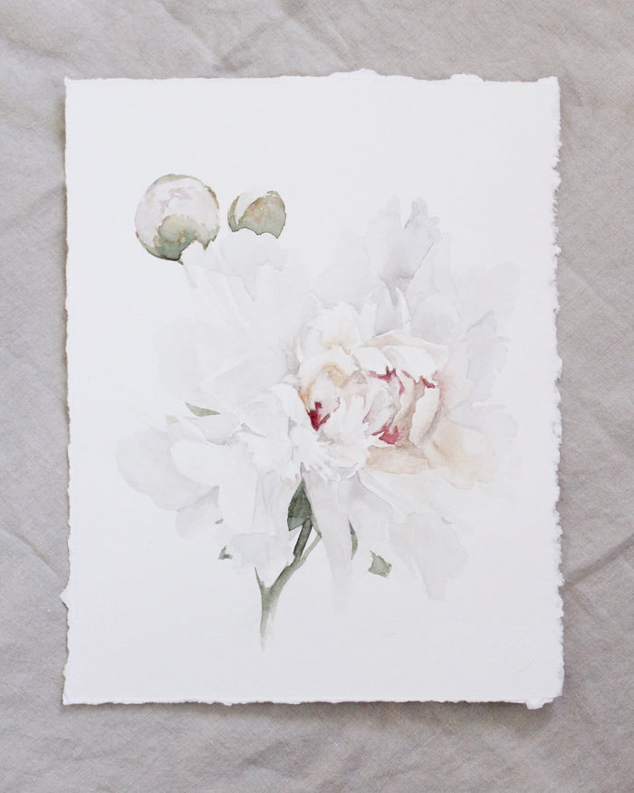Peony no.10 | 11x14