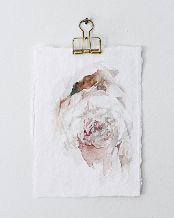 Peony no.16 | 5x7