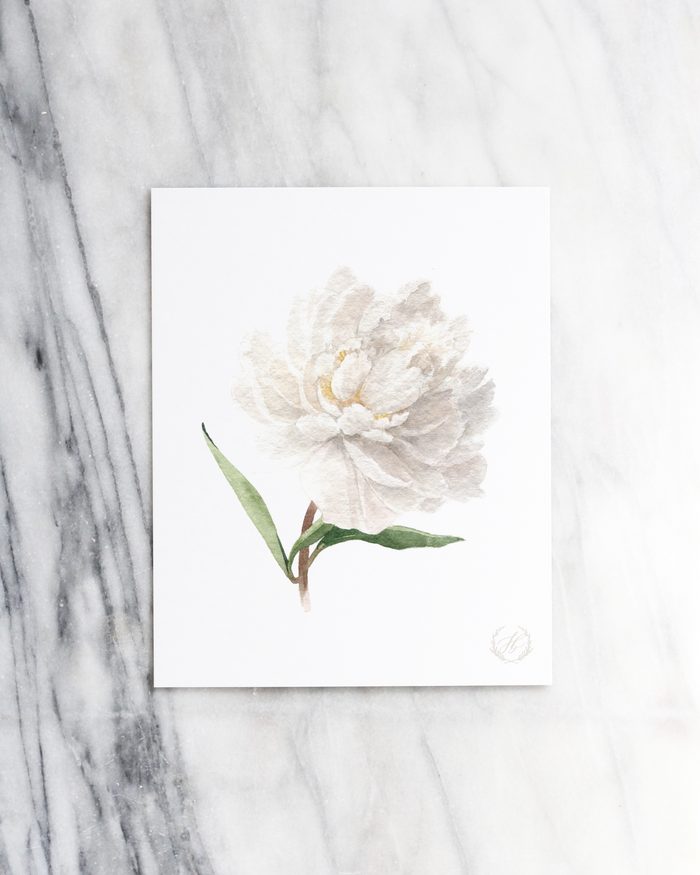 Peony no.4 Print
